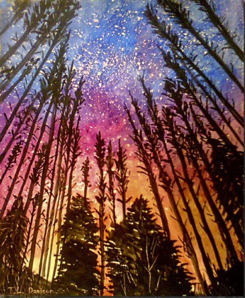 FOREST UNDER A STARRY SKY
