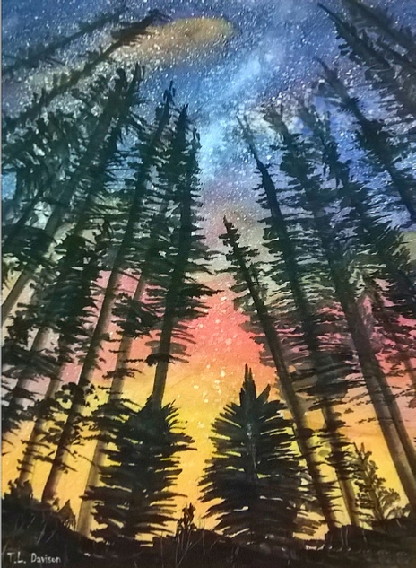 BOREAL FOREST UNDER A STARRY SKY